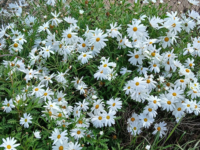 No s'ha trobat l'arxiu